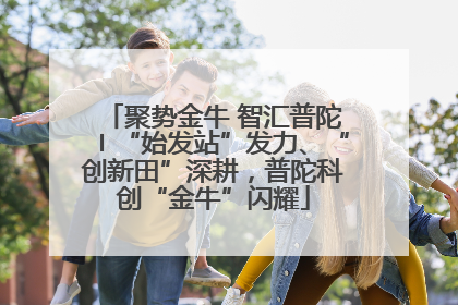 聚势金牛 智汇普陀〡“始发站”发力、“创新田”深耕，普陀科创“金牛”闪耀