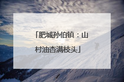 肥城孙伯镇：山村油杏满枝头