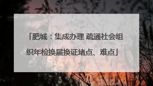 肥城：集成办理 疏通社会组织年检换届换证堵点、难点
