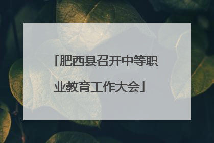 肥西县召开中等职业教育工作大会