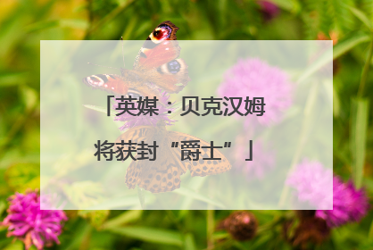 英媒：贝克汉姆将获封“爵士”