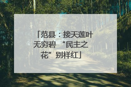 范县：接天莲叶无穷碧 “民主之花”别样红