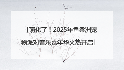 萌化了！2025年鱼梁洲宠物派对音乐嘉年华火热开启
