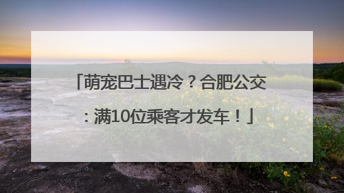 萌宠巴士遇冷？合肥公交：满10位乘客才发车！