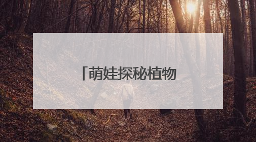 萌娃探秘植物王国：从“会飞的种子”到“善变的绣球花”