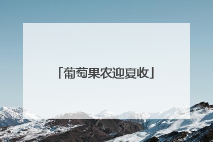 葡萄果农迎夏收