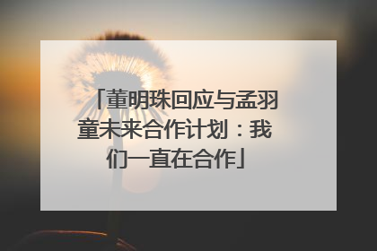 董明珠回应与孟羽童未来合作计划：我们一直在合作