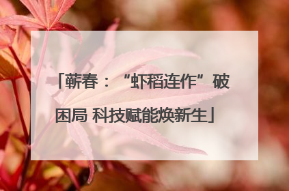蕲春：“虾稻连作”破困局 科技赋能焕新生