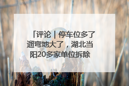评论｜停车位多了遛弯地大了，湖北当阳20多家单位拆除围墙方便居民