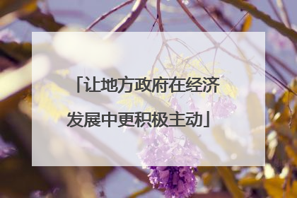 让地方政府在经济发展中更积极主动