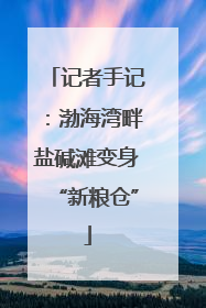 记者手记：渤海湾畔盐碱滩变身“新粮仓”