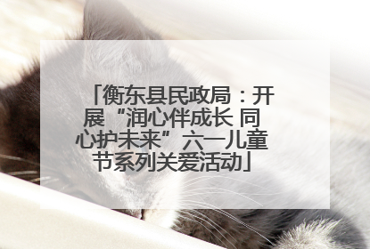 衡东县民政局：开展“润心伴成长 同心护未来”六一儿童节系列关爱活动