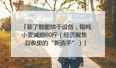 装了智能烘干设备，每吨小麦减损60斤（经济聚焦·夏收里的“新选手”）