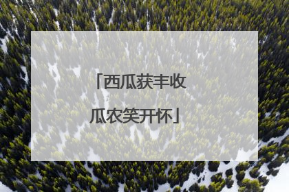 西瓜获丰收 瓜农笑开怀