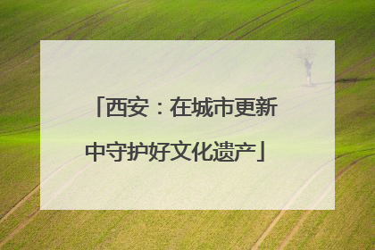 西安：在城市更新中守护好文化遗产