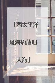 西太平洋斑海豹放归大海