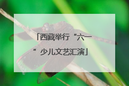 西藏举行“六一”少儿文艺汇演