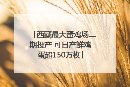 西藏最大蛋鸡场二期投产 可日产鲜鸡蛋超150万枚
