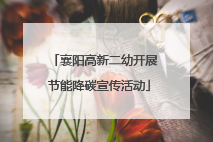 襄阳高新二幼开展节能降碳宣传活动