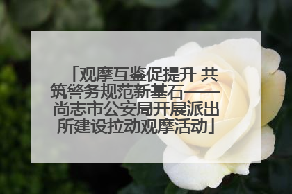 观摩互鉴促提升 共筑警务规范新基石——尚志市公安局开展派出所建设拉动观摩活动