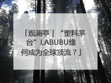 观澜亭｜“塑料茅台”LABUBU缘何成为全球顶流？