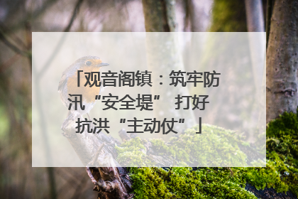 观音阁镇：筑牢防汛“安全堤” 打好抗洪“主动仗”