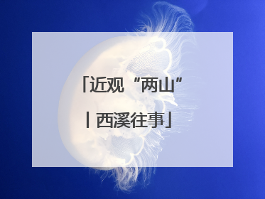 近观“两山”丨西溪往事