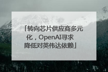 转向芯片供应商多元化，OpenAI寻求降低对英伟达依赖