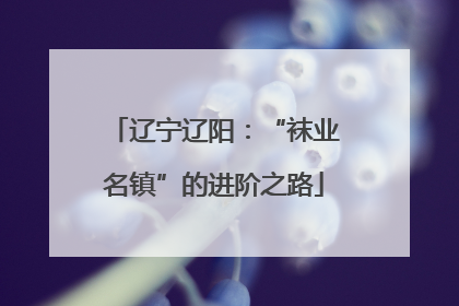 辽宁辽阳：“袜业名镇”的进阶之路