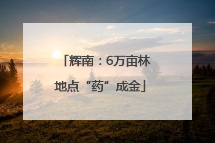 辉南：6万亩林地点“药”成金