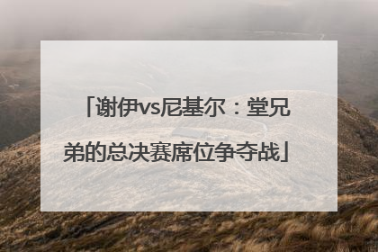 谢伊vs尼基尔：堂兄弟的总决赛席位争夺战