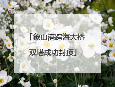 象山港跨海大桥双塔成功封顶