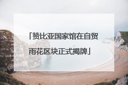 赞比亚国家馆在自贸雨花区块正式揭牌