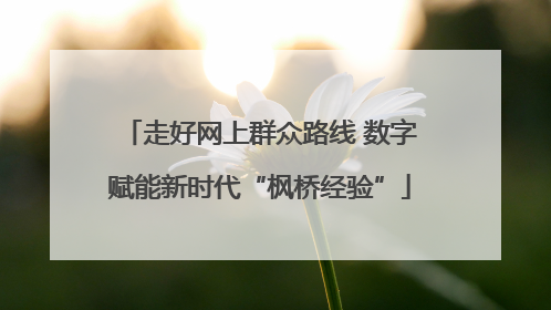 走好网上群众路线 数字赋能新时代“枫桥经验”