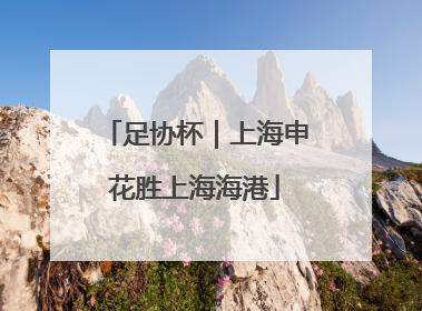 足协杯｜上海申花胜上海海港