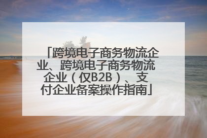跨境电子商务物流企业、跨境电子商务物流企业（仅B2B）、支付企业备案操作指南