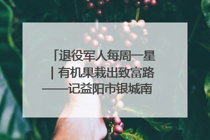 退役军人每周一星｜有机果栽出致富路——记益阳市银城南湖蔬果农民专业合作社总经理晏桂明