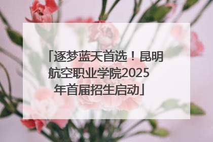 逐梦蓝天首选！昆明航空职业学院2025年首届招生启动