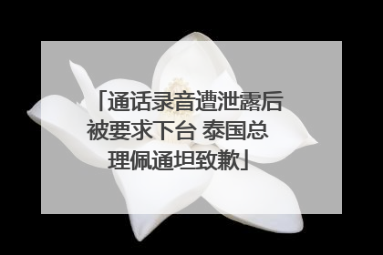 通话录音遭泄露后被要求下台 泰国总理佩通坦致歉