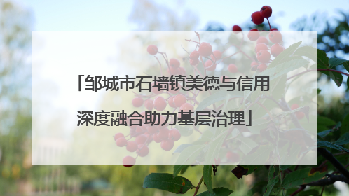邹城市石墙镇美德与信用深度融合助力基层治理