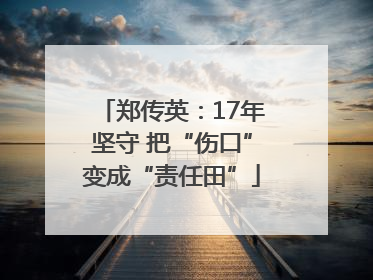 郑传英：17年坚守 把“伤口”变成“责任田”