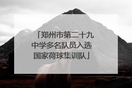 郑州市第二十九中学多名队员入选国家荷球集训队