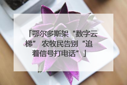 鄂尔多斯架“数字云梯” 农牧民告别“追着信号打电话”