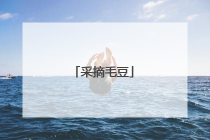 采摘毛豆
