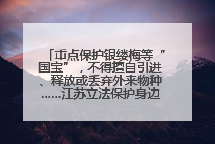 重点保护银缕梅等“国宝”，不得擅自引进、释放或丢弃外来物种……江苏立法保护身边的生物“朋友圈”
