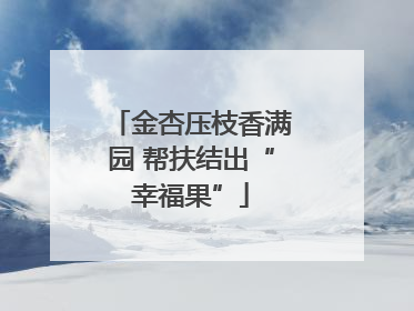 金杏压枝香满园 帮扶结出“幸福果”