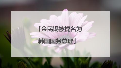 金民锡被提名为韩国国务总理