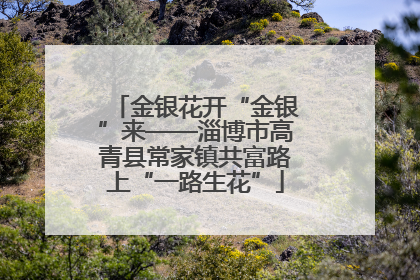 金银花开“金银”来——淄博市高青县常家镇共富路上“一路生花”