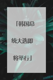 韩国总统大选即将举行