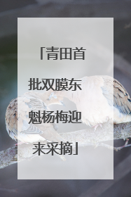 青田首批双膜东魁杨梅迎来采摘